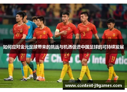 如何应对金元足球带来的挑战与机遇促进中国足球的可持续发展